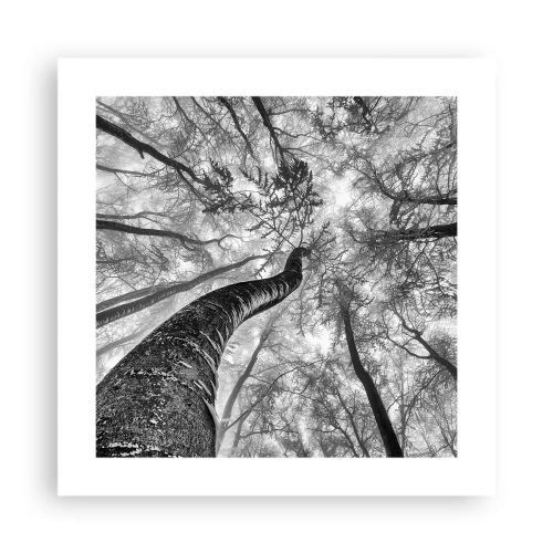 Póster - Carrera hacia la luz - 40x40 cm