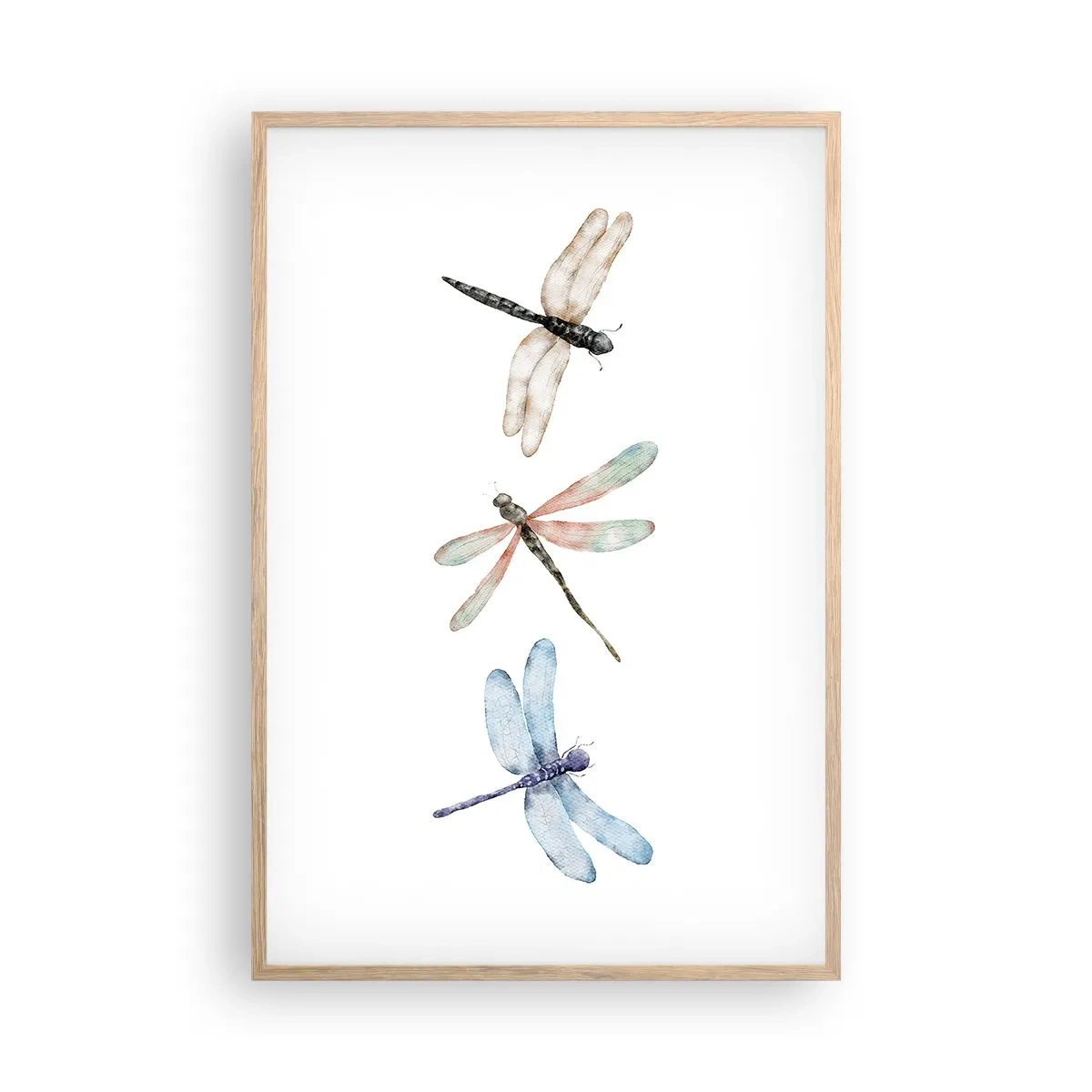 Póster en marco roble claro - Libélulas ingrávidas - 61x91 cm