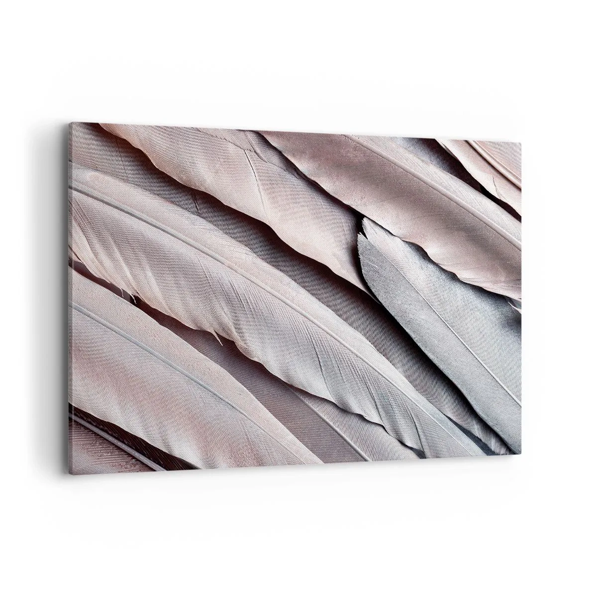 Cuadro sobre lienzo - Impresión de Imagen - Plumas delicadas en sutiles tonos de gris y beige. - 100x70cm - En rosa plateado - Decoración de pared moderna para salón y dormitorio ARTTOR