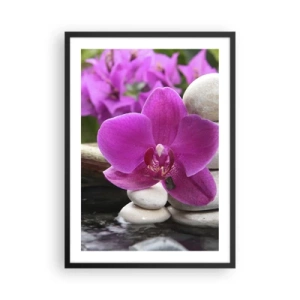 Póster en marco negro - Una orquídea morada sobre un fondo de piedras en una disposición armoniosa. - 50x70cm - Ya estás descansando - Decoración de pared moderna para salón y dormitorio ARTTOR