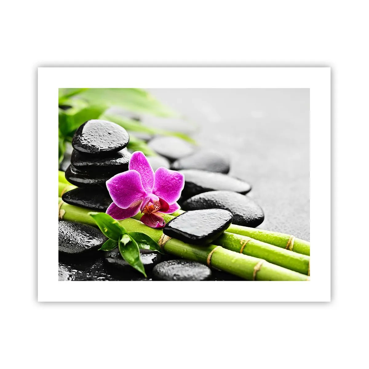 Póster - En equilibrio pacífico - 50x40 cm
