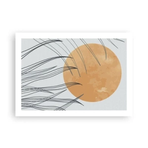 Póster - Siempre hacia el sol - 70x50 cm