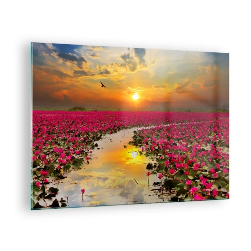 Cuadro sobre vidrio - Impresiones sobre Vidrio - Nenúfares rosados en un lago al atardecer - 70x50cm - La vida secreta del lago - Decoración de pared moderna para salón y dormitorio ARTTOR