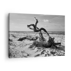 Cuadro sobre lienzo - Impresión de Imagen - Paisaje en blanco y negro con un árbol muerto en la playa. - 70x50cm - Escultura marina - Decoración de pared moderna para salón y dormitorio ARTTOR