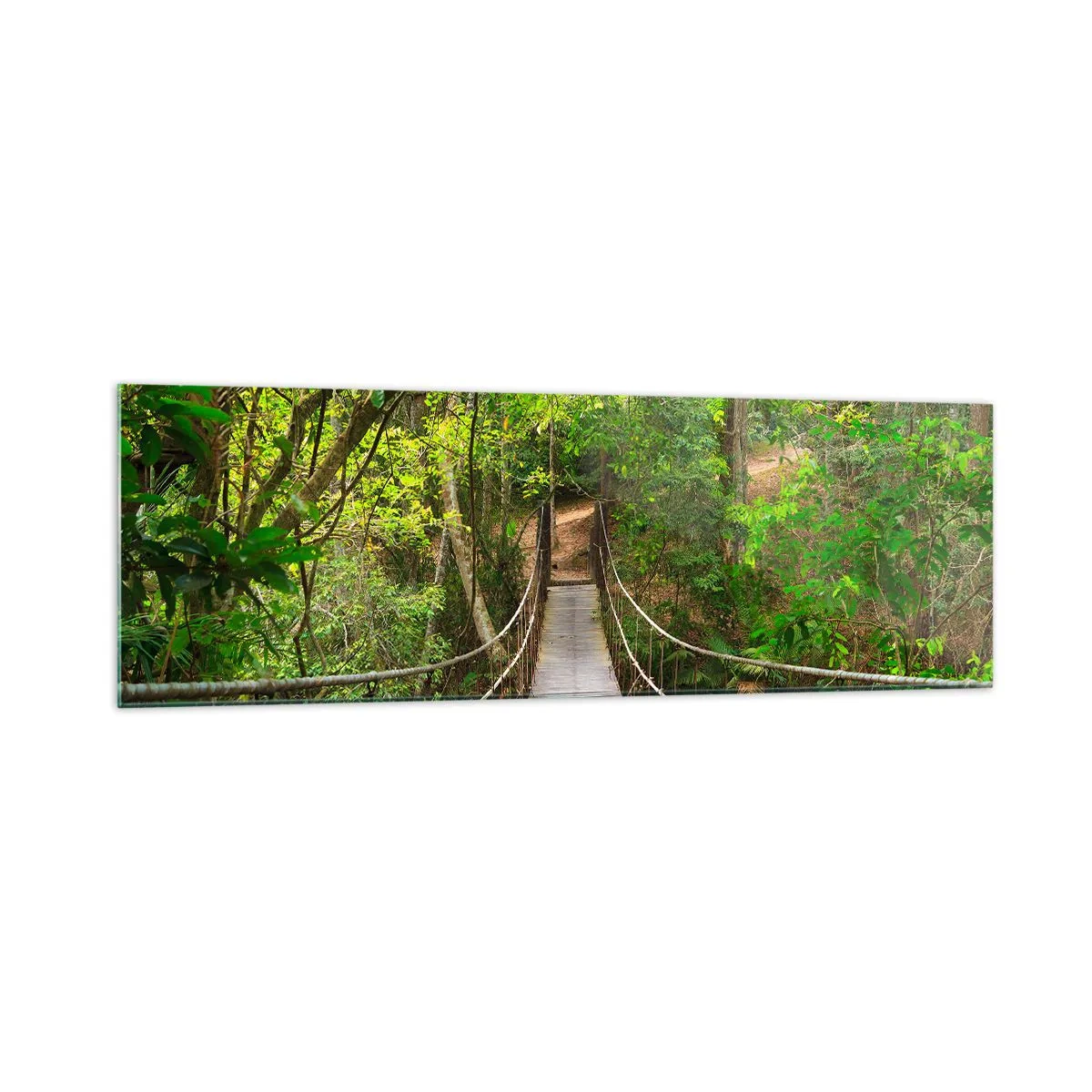 Cuadro sobre vidrio - Impresiones sobre Vidrio - Un puente colgante rodeado de una selva tropical verde. - 160x50cm - Porque la vid crece en el jardín - Decoración de pared moderna para salón y dormitorio ARTTOR