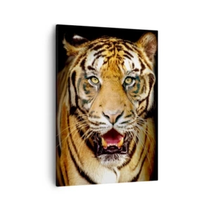 Cuadro sobre lienzo - Impresión de Imagen - Un tigre con la boca abierta sobre un fondo negro. - 50x70cm - Salvaje de corazón - Decoración de pared moderna para salón y dormitorio ARTTOR