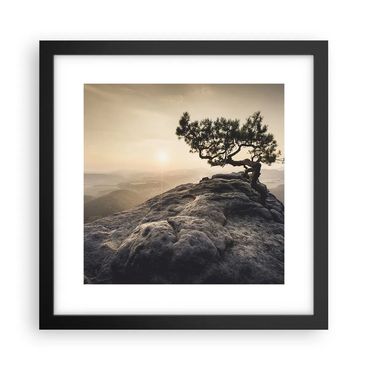 Póster en marco negro - La vida se abre camino - 30x30 cm