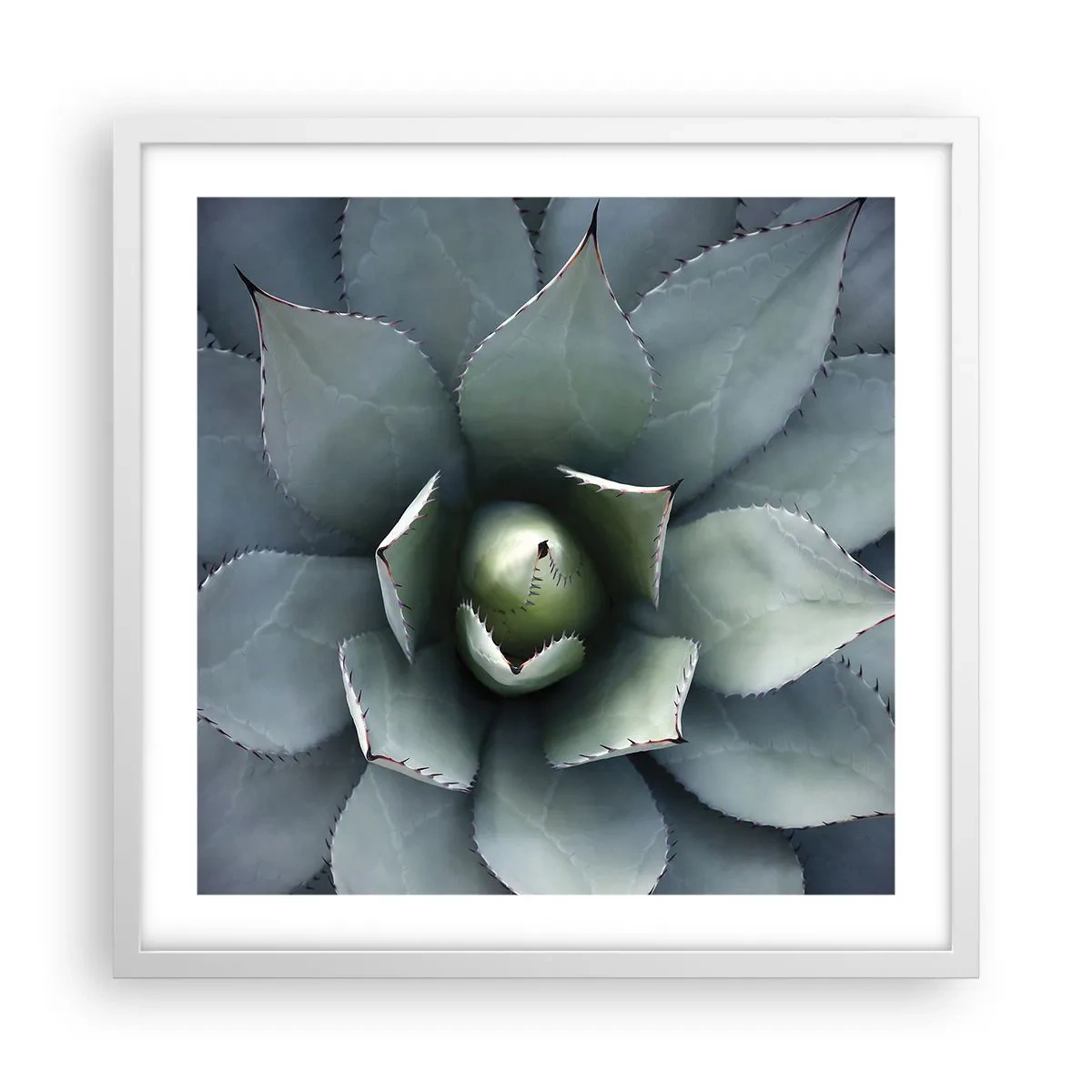 Póster en marco blanco - Perfección natural - 50x50 cm