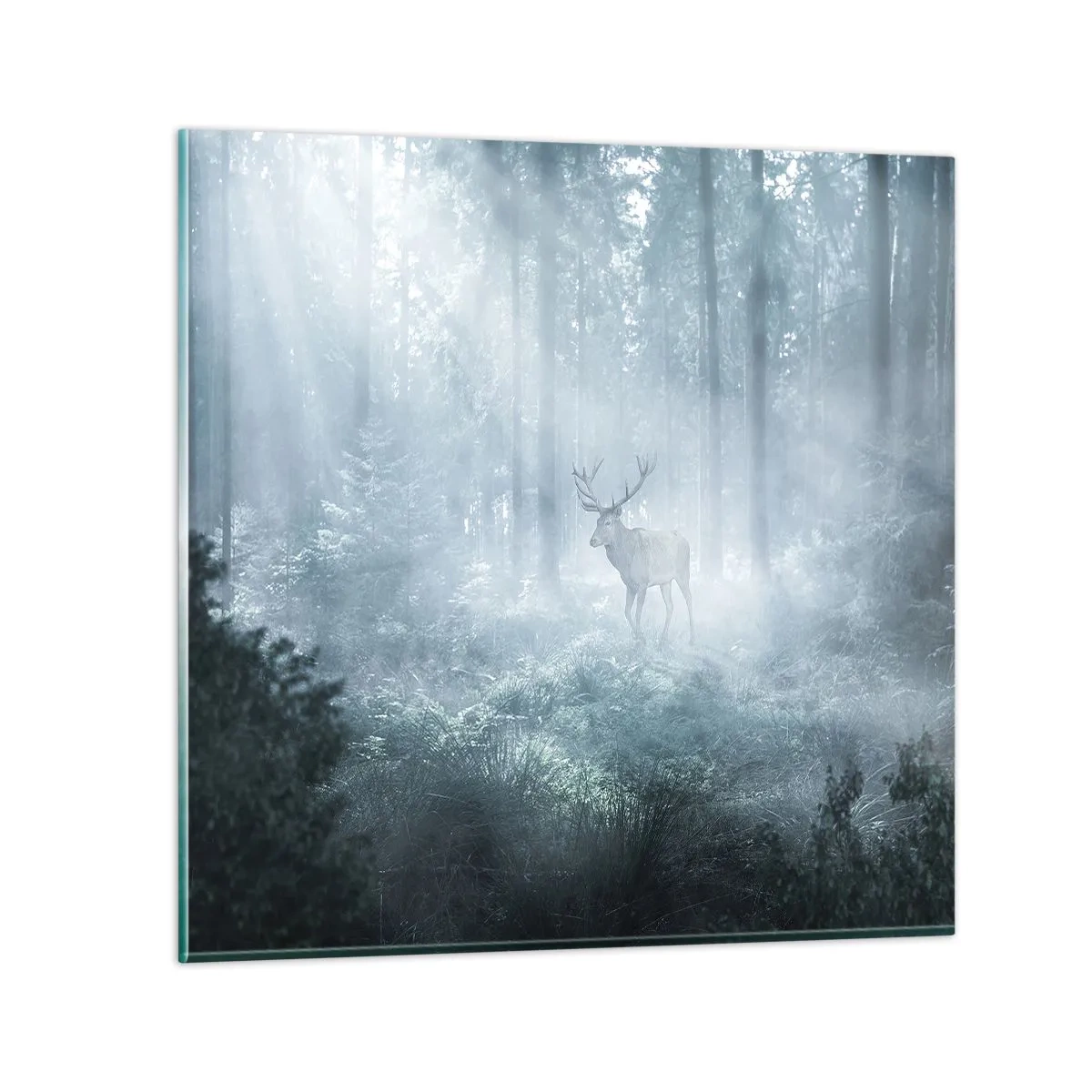 Cuadro sobre vidrio - Impresiones sobre Vidrio - Ronda matutina por la finca - 40x40 cm