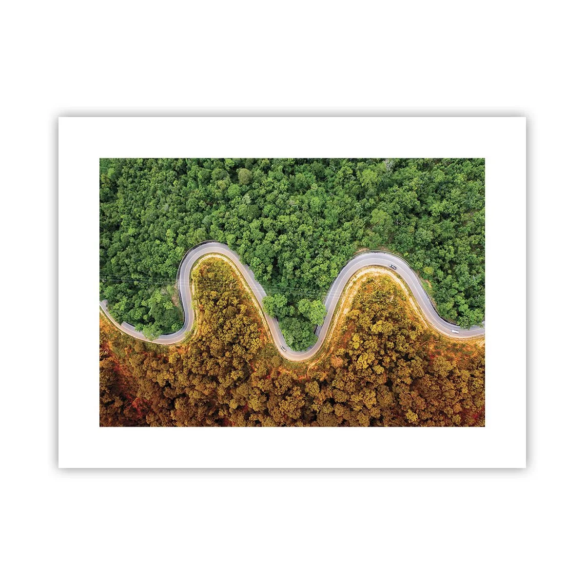 Póster - Frontera serpenteante - 40x30 cm