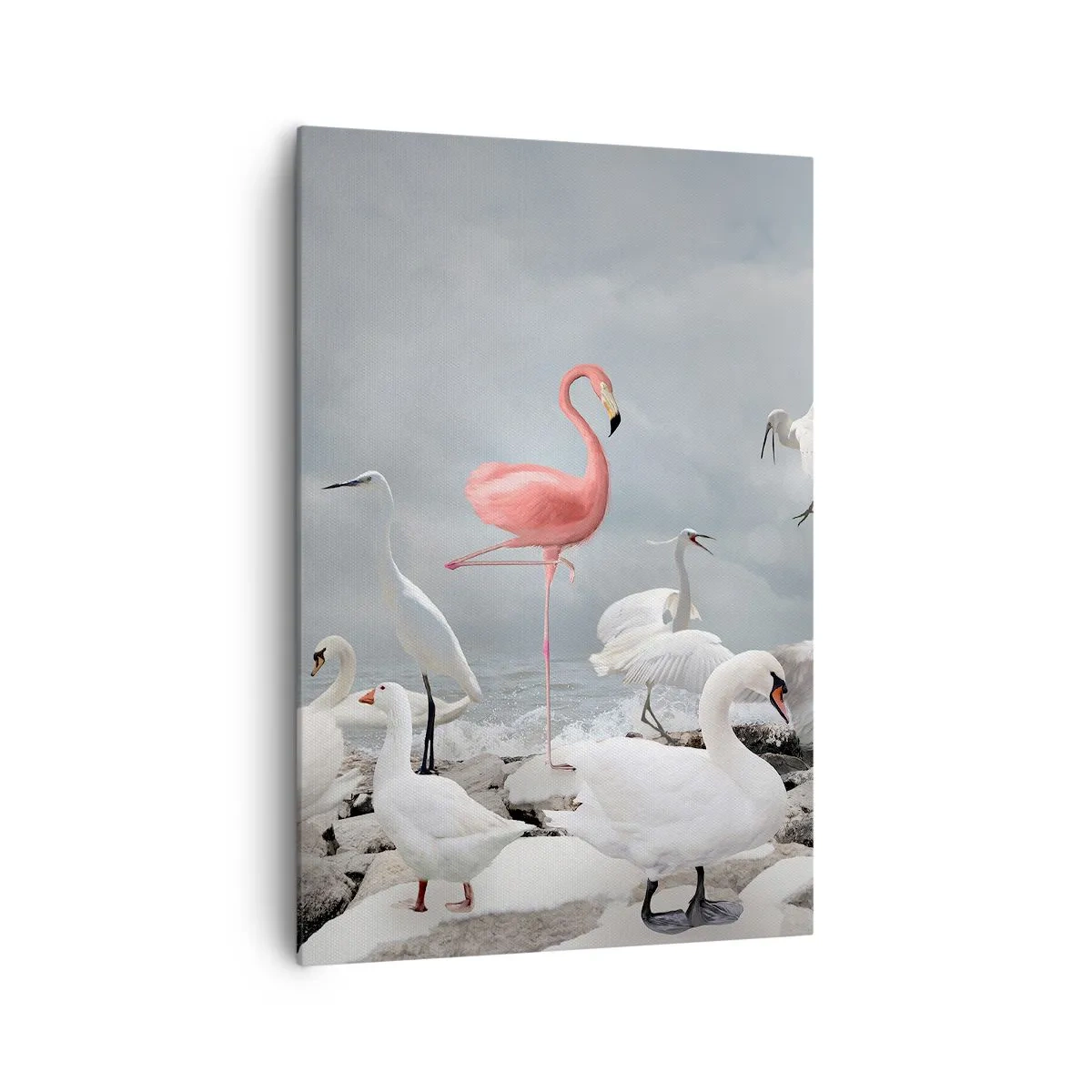 Cuadro sobre lienzo - Impresión de Imagen - Un flamenco rosado entre cisnes blancos con el fondo de un lago. - 70x100cm - ¿De dónde vengo? - Decoración de pared moderna para salón y dormitorio ARTTOR