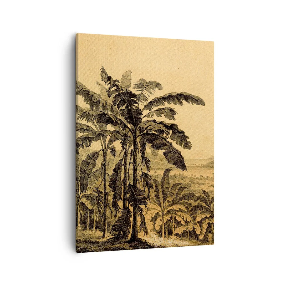 Cuadro sobre lienzo - Impresión de Imagen - Dibujo de árboles de plátano sobre un fondo de paisaje tropical. - 50x70cm - En un ambiente colonial - Decoración de pared moderna para salón y dormitorio ARTTOR