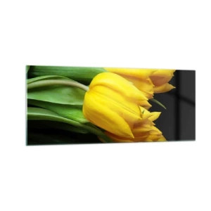 Cuadro sobre vidrio - Impresiones sobre Vidrio - Resucitado de puro sol - 100x40 cm