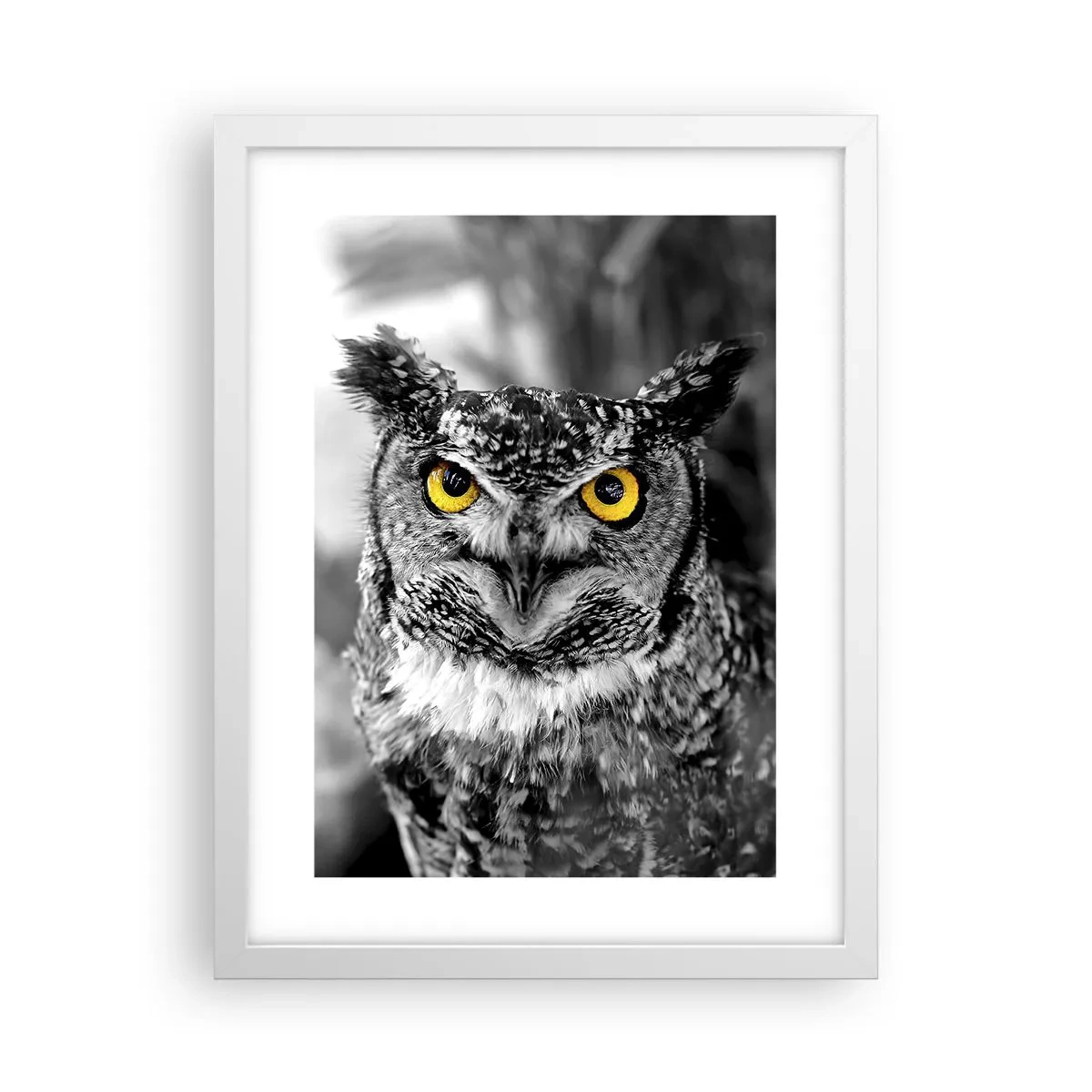 Póster en marco blanco - Nada se puede ocultar - 30x40 cm