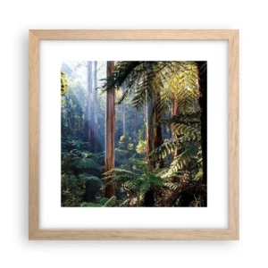 Póster en marco roble claro - Un cuento de hadas del bosque - 30x30 cm