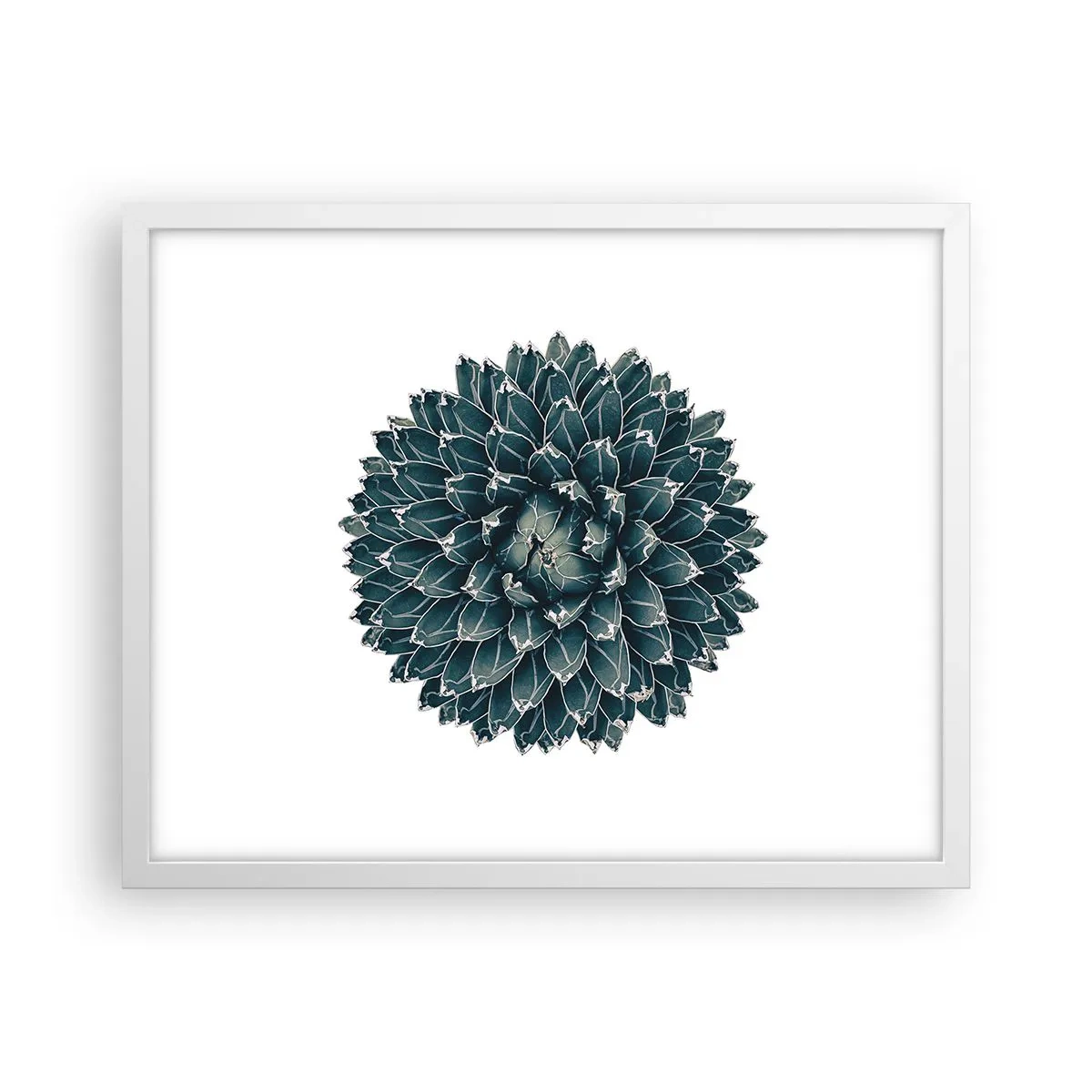 Póster en marco blanco - Estrella del desierto - 50x40 cm