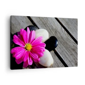 Cuadro sobre lienzo - Impresión de Imagen - Flor rosa sobre un fondo de tablas de madera con piedras. - 70x50cm - Descansando en el muelle - Decoración de pared moderna para salón y dormitorio ARTTOR