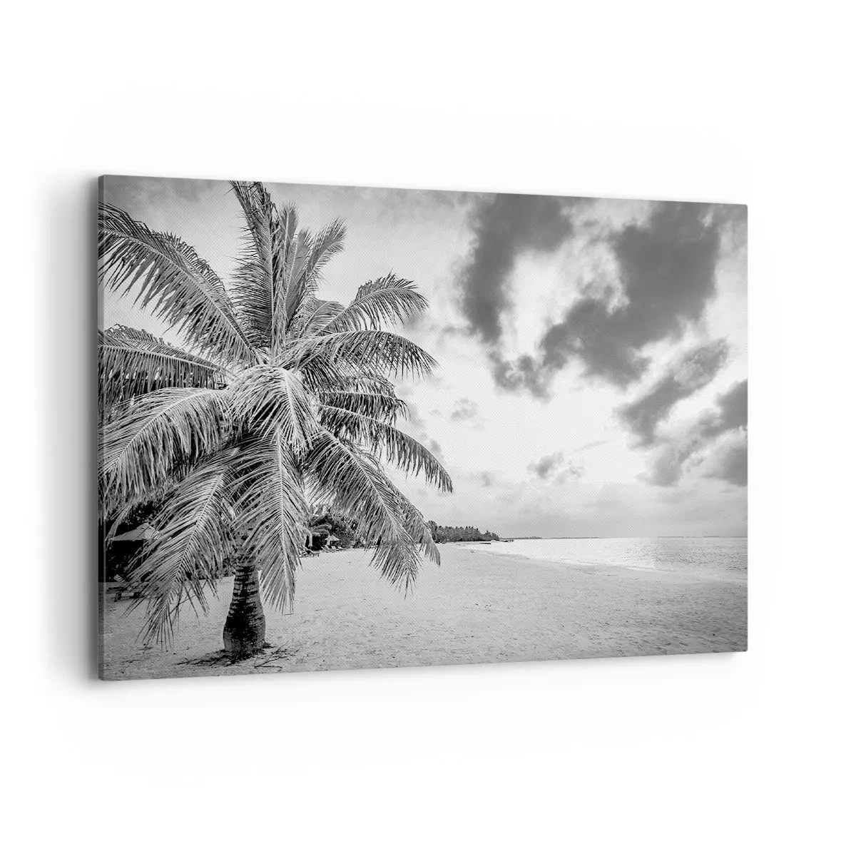 Cuadro sobre lienzo - Impresión de Imagen - Palmera en blanco y negro en una playa vacía con nubes - 100x70cm - Anhelo de soledad.... - Decoración de pared moderna para salón y dormitorio ARTTOR