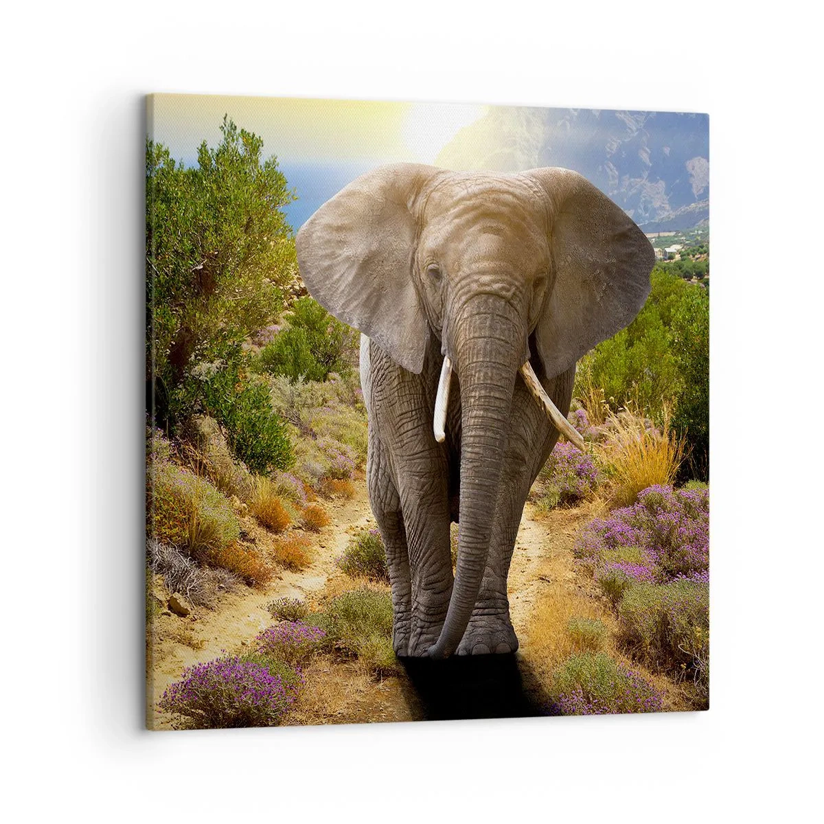 Cuadro sobre lienzo - Impresión de Imagen - Este es el aspecto del Edén - 50x50 cm