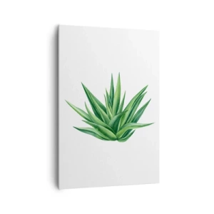 Cuadro sobre lienzo - Impresión de Imagen - Una planta verde jugosa sobre un fondo blanco. - 70x100cm - Verde - fuerza - vida - Decoración de pared moderna para salón y dormitorio ARTTOR