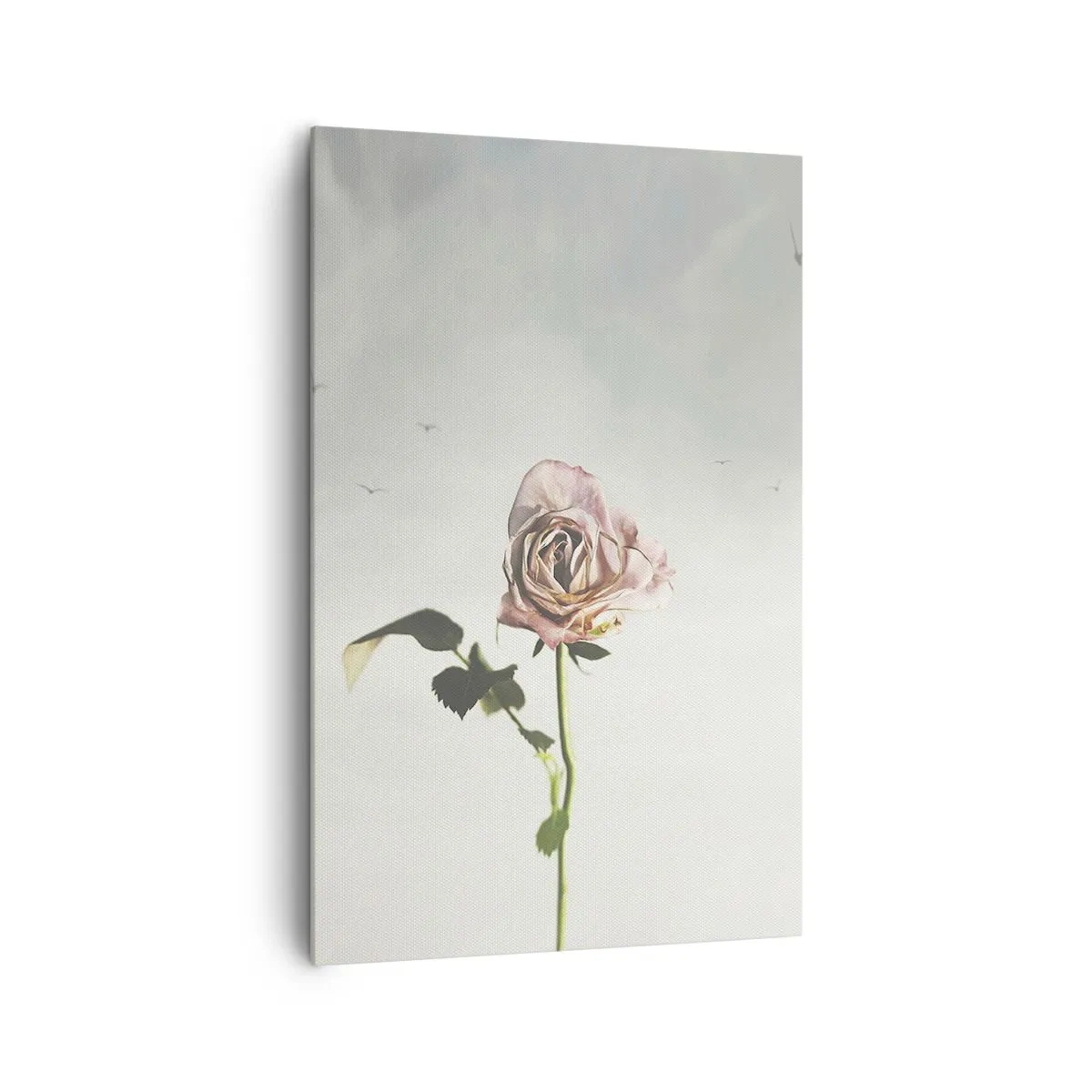 Cuadro sobre lienzo - Impresión de Imagen - Una delicada rosa contra un cielo brillante con pájaros volando. - 80x120cm - Bienvenida a la primavera - Decoración de pared moderna para salón y dormitorio ARTTOR