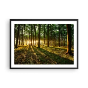 Póster en marco negro - El sol poniente en el bosque caducifolio - 70x50cm - Una fotografía de todos los manantiales - Decoración de pared moderna para salón y dormitorio ARTTOR