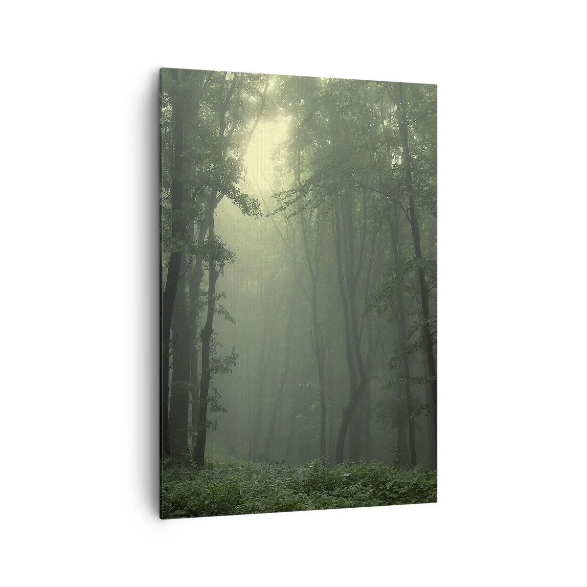 Cuadro sobre lienzo - Impresión de Imagen - Un bosque verde por la mañana envuelto en una delicada niebla. - 70x100cm - Antes de que se despierte el bosque - Decoración de pared moderna para salón y dormitorio ARTTOR