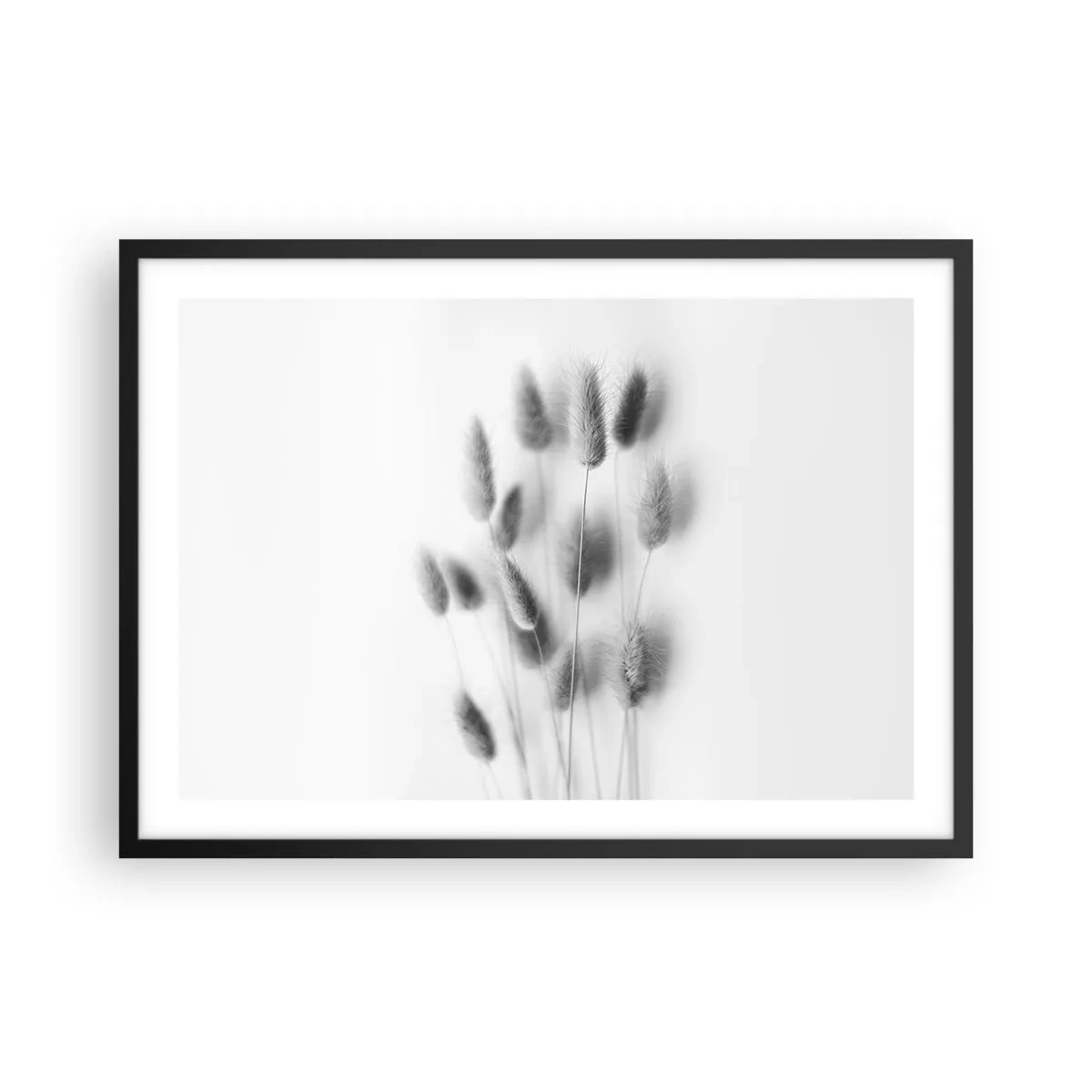 Póster en marco negro - Hierbas delicadas en tonos grises sobre un fondo blanco. - 70x50cm - Esponjas naturales - Decoración de pared moderna para salón y dormitorio ARTTOR