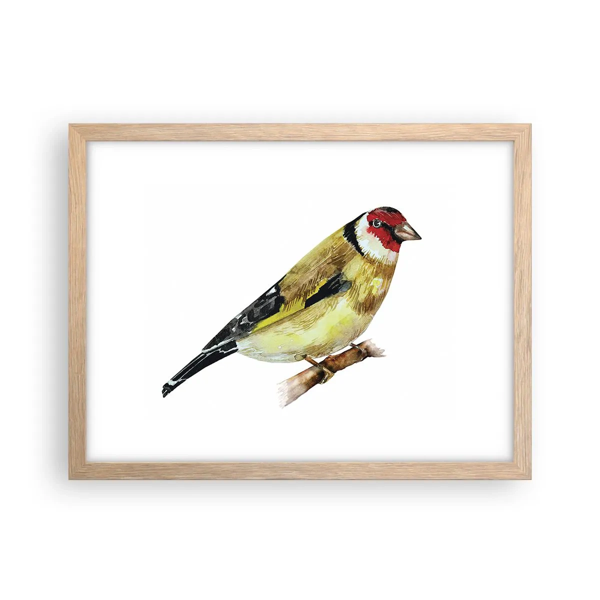 Póster en marco roble claro - Retrato de pájaro - 40x30 cm