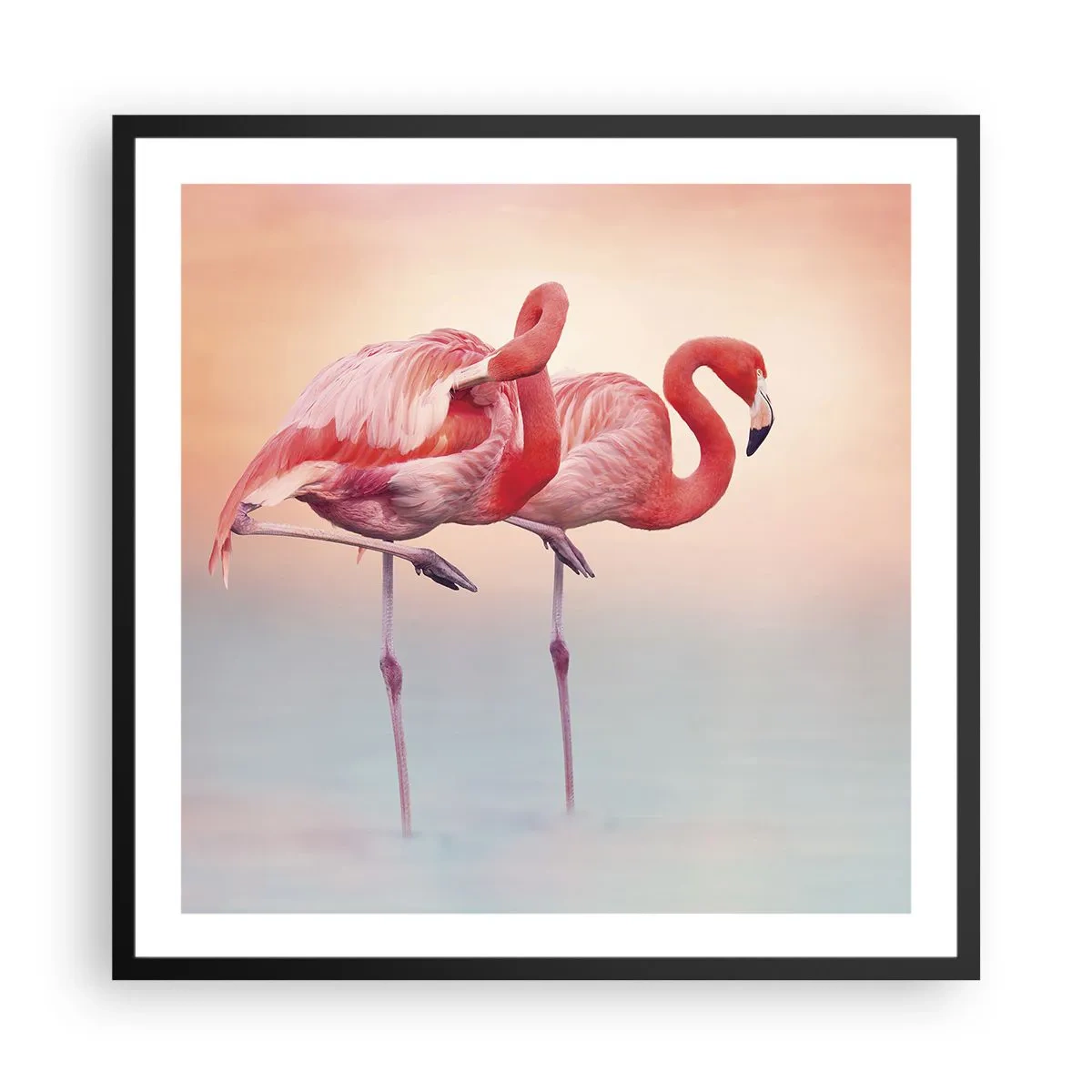 Póster en marco negro - Elegancia bajo el sol de poniente - 60x60 cm