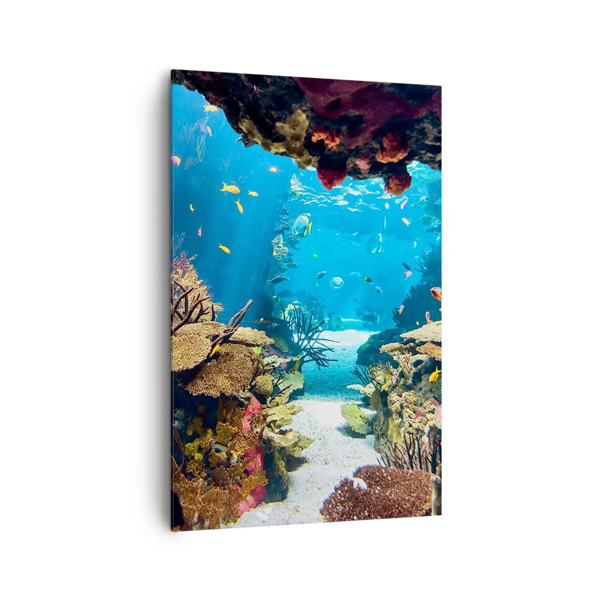 Cuadro sobre lienzo - Impresión de Imagen - Mundo submarino con arrecifes de coral y peces. - 80x120cm - Ni siquiera has soñado - Decoración de pared moderna para salón y dormitorio ARTTOR