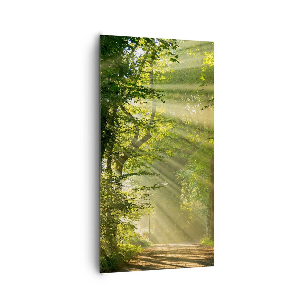 Cuadro sobre lienzo - Impresión de Imagen - Un momento en el bosque - 65x120 cm