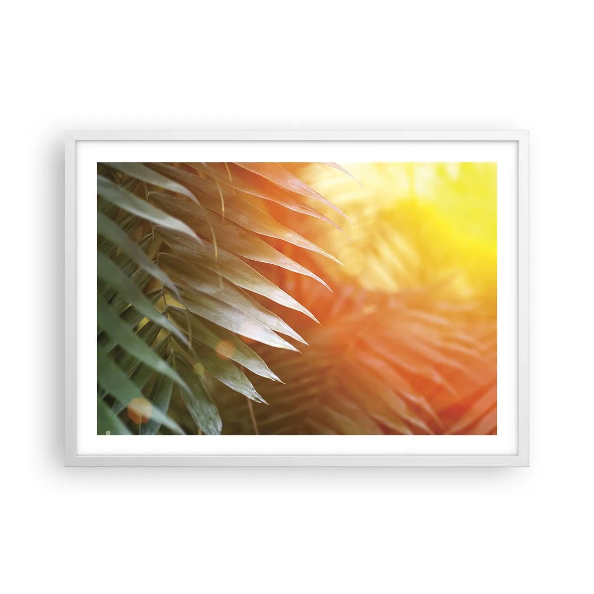 Póster en marco blanco - Mañana en la selva - 70x50 cm