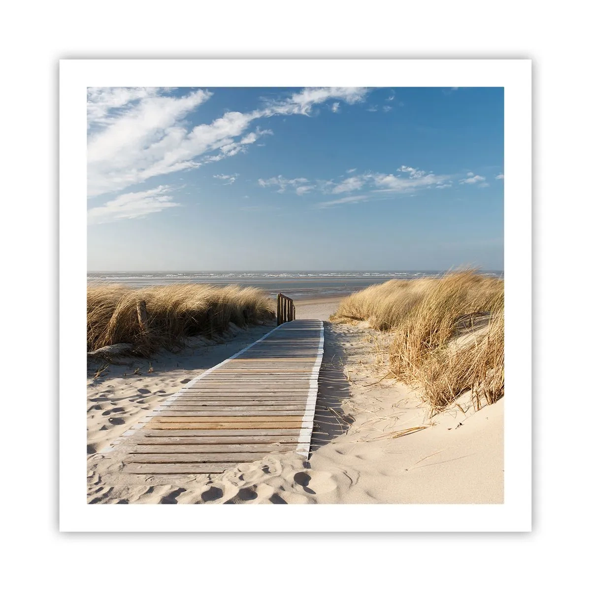 Póster - Más allá de la duna, en el susurro de la naturaleza - 60x60 cm