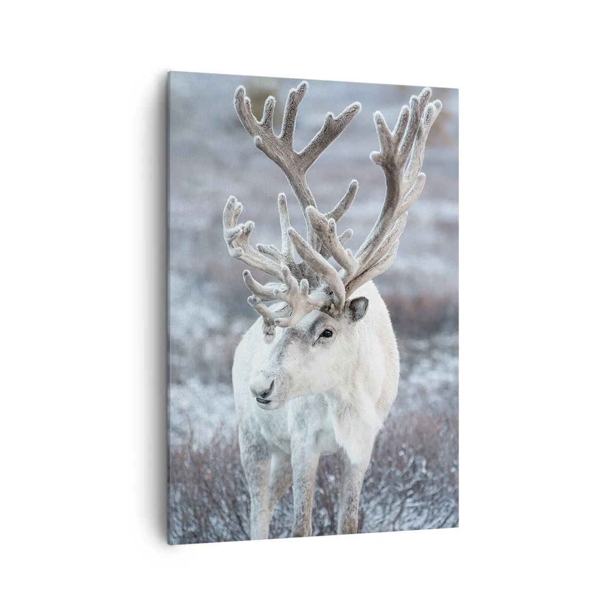 Cuadro sobre lienzo - Impresión de Imagen - Retrato al sol - 70x100 cm