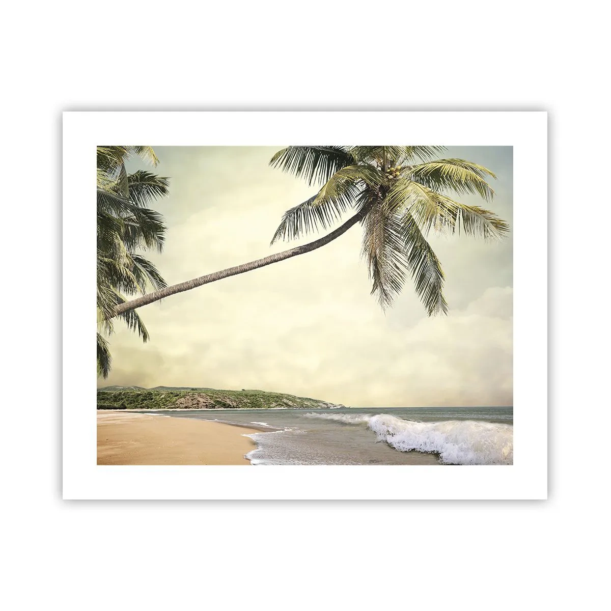 Póster - Sueño tropical - 50x40 cm