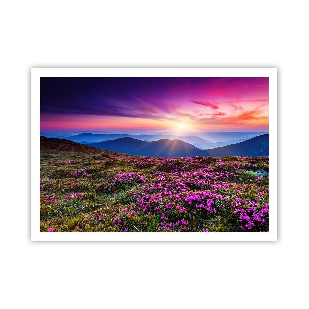 Póster - Prado de montaña con flores al atardecer - 100x70cm - Dulce aroma a frescura - Decoración de pared moderna para salón y dormitorio ARTTOR