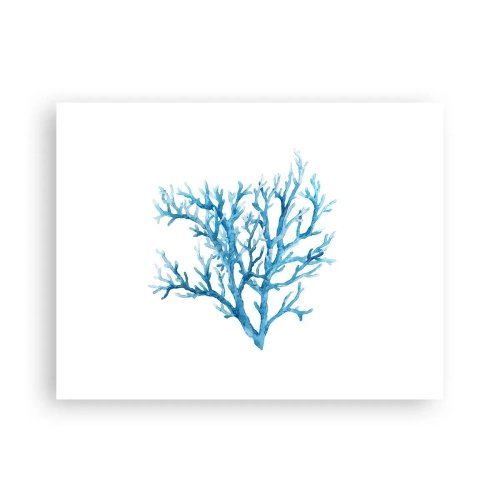 Póster - Filigrana marina - 40x30 cm