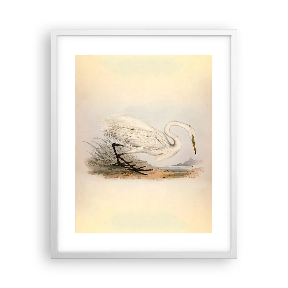 Póster en marco blanco - Dama de los juncos - 40x50 cm