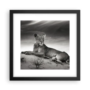 Póster en marco negro - Descanso de la reina del desierto - 30x30 cm