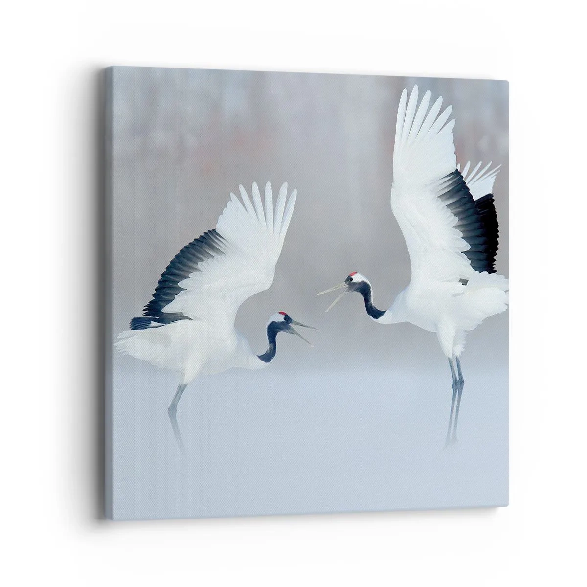 Cuadro sobre lienzo - Impresión de Imagen - Danza en la niebla - 40x40 cm