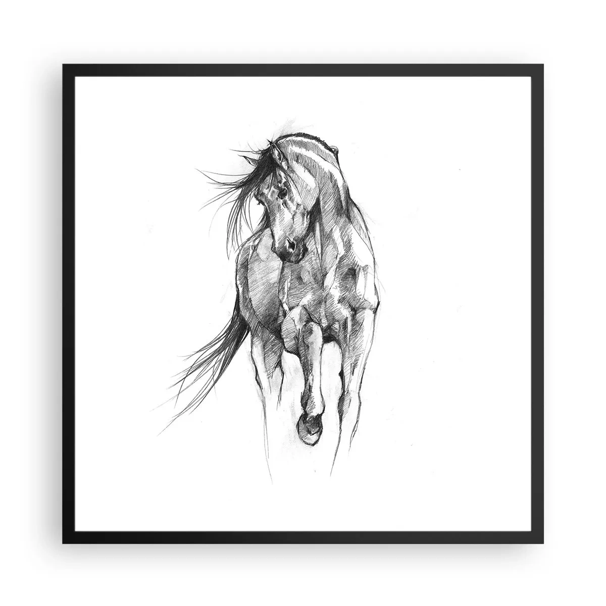 Póster en marco negro - En un elegante trote - 60x60 cm