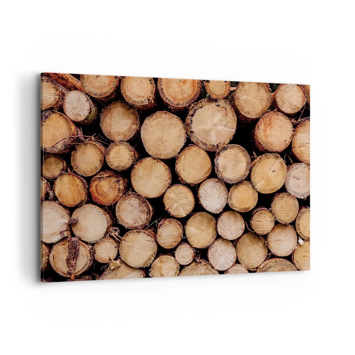 Cuadro sobre lienzo - Impresión de Imagen - Montones de troncos de árboles talados dispuestos en armonía - 100x70cm - Un nuevo comienzo - Decoración de pared moderna para salón y dormitorio ARTTOR