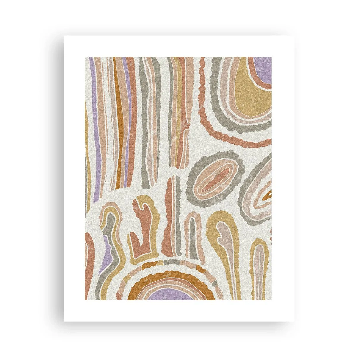 Póster - Cortes transversales llenos de color - 40x50 cm