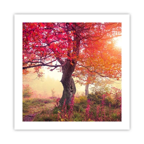 Póster - Un frenesí de floración - 50x50 cm