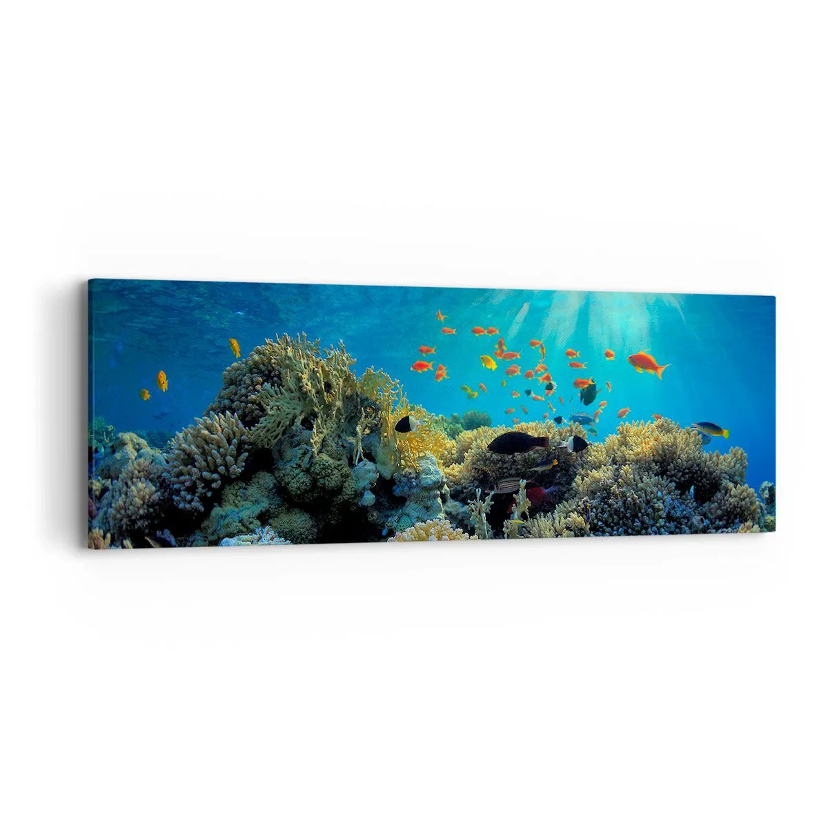 Cuadro sobre lienzo - Impresión de Imagen - Tesoros submarinos - 90x30 cm