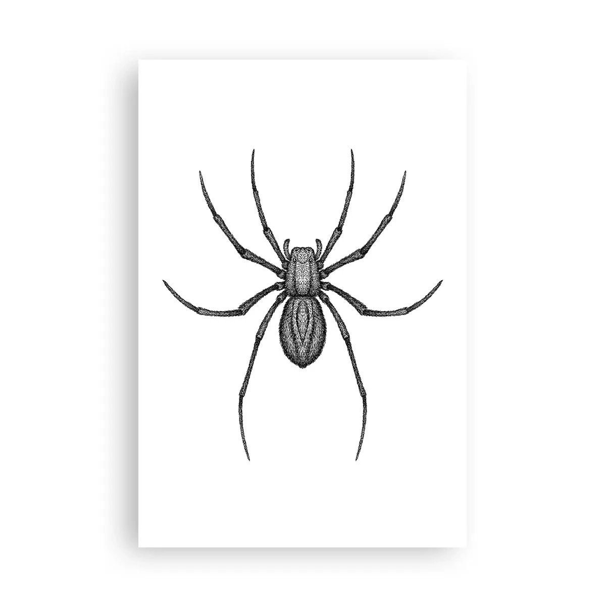 Póster - Precisión inquietante - 61x91 cm