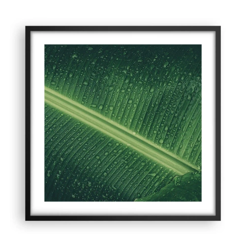 Póster en marco negro - Estructura del verde - 50x50 cm