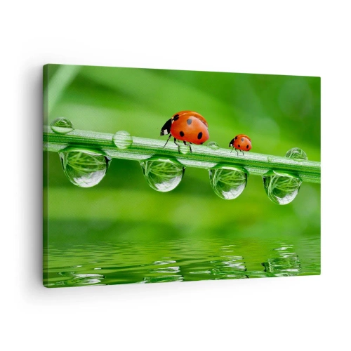Cuadro sobre lienzo - Impresión de Imagen - Mariquitas sobre una brizna de hierba con gotas de rocío en un entorno natural. - 70x50cm - En el camino todo el verano - Decoración de pared moderna para salón y dormitorio ARTTOR