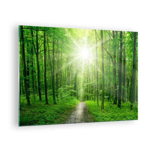 Cuadro sobre vidrio - Impresiones sobre Vidrio - Un camino en el bosque iluminado por los rayos del sol. - 70x50cm - Catedral verde - Decoración de pared moderna para salón y dormitorio ARTTOR